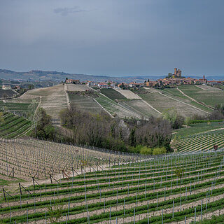 Serralunga d'Alba